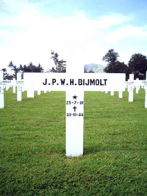 bijmolt.j.p.w.h.2005.jpg