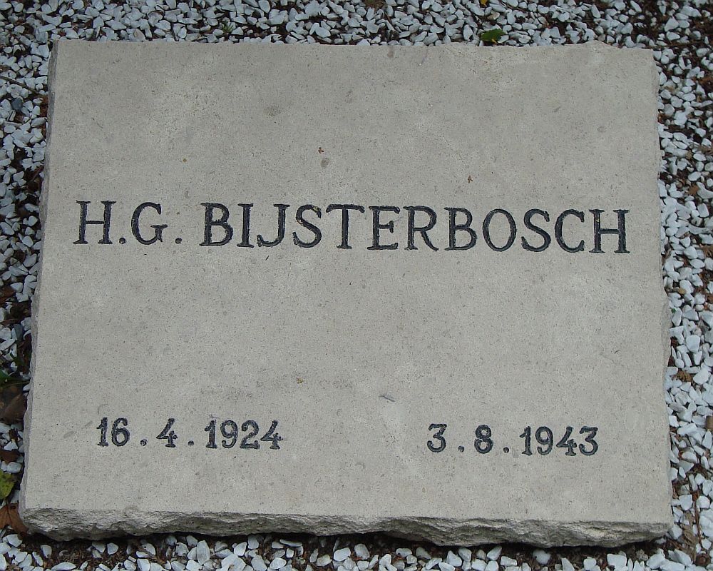 bijsterbosch.h.g.2010.jpg