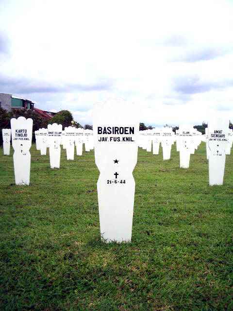 basiroen.2005.jpg