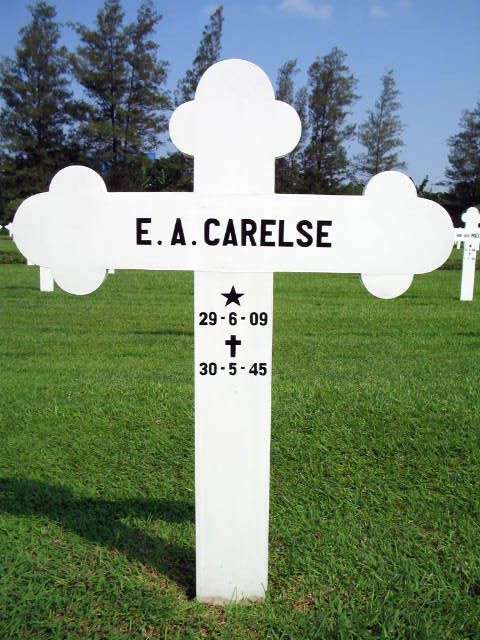 carelse e.a.2004.jpg