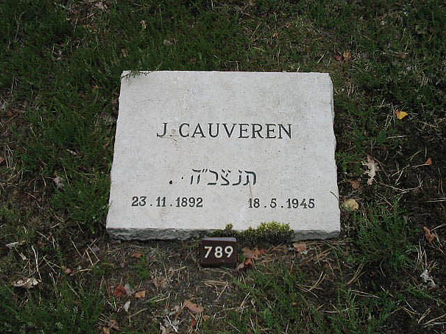 J.Cauveren 1.jpg