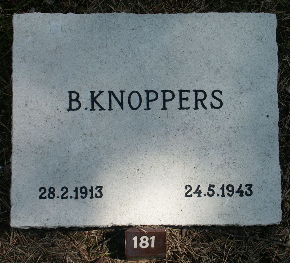 knoppers.b.jpg