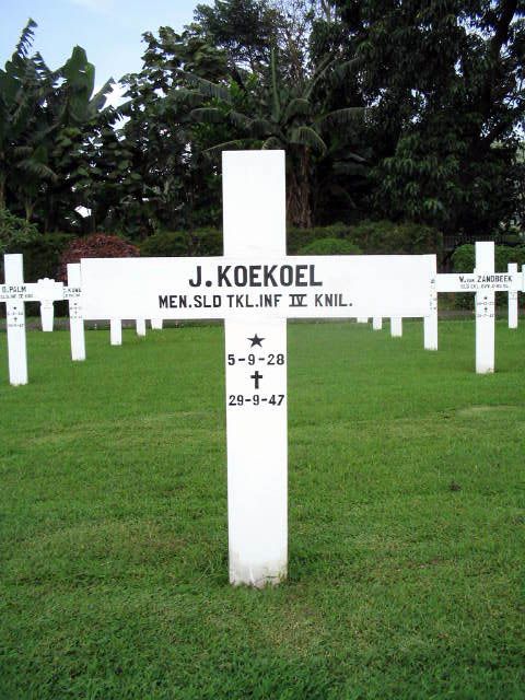 koekoel.j.2005.jpg
