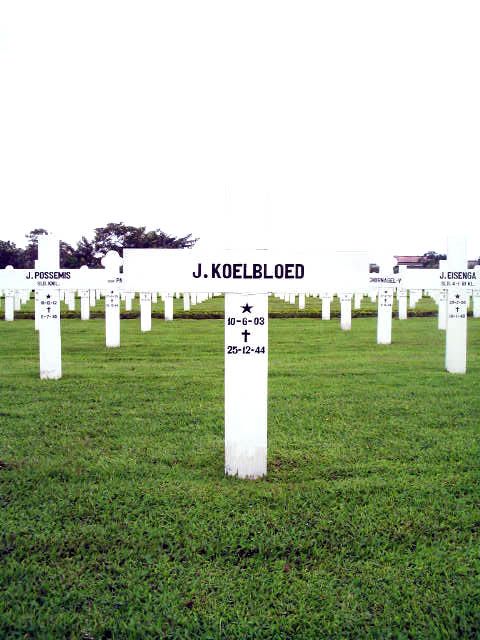 koelbloed.j.2005.jpg