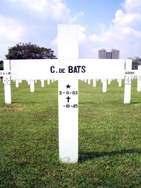 bats.de.c.2005.jpg