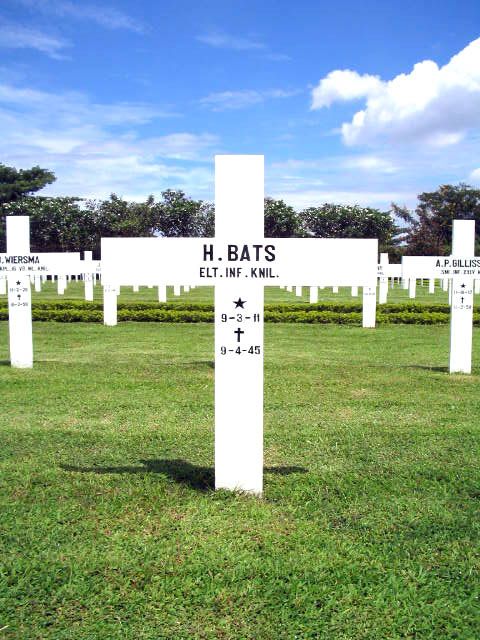 bats.h.2005.jpg