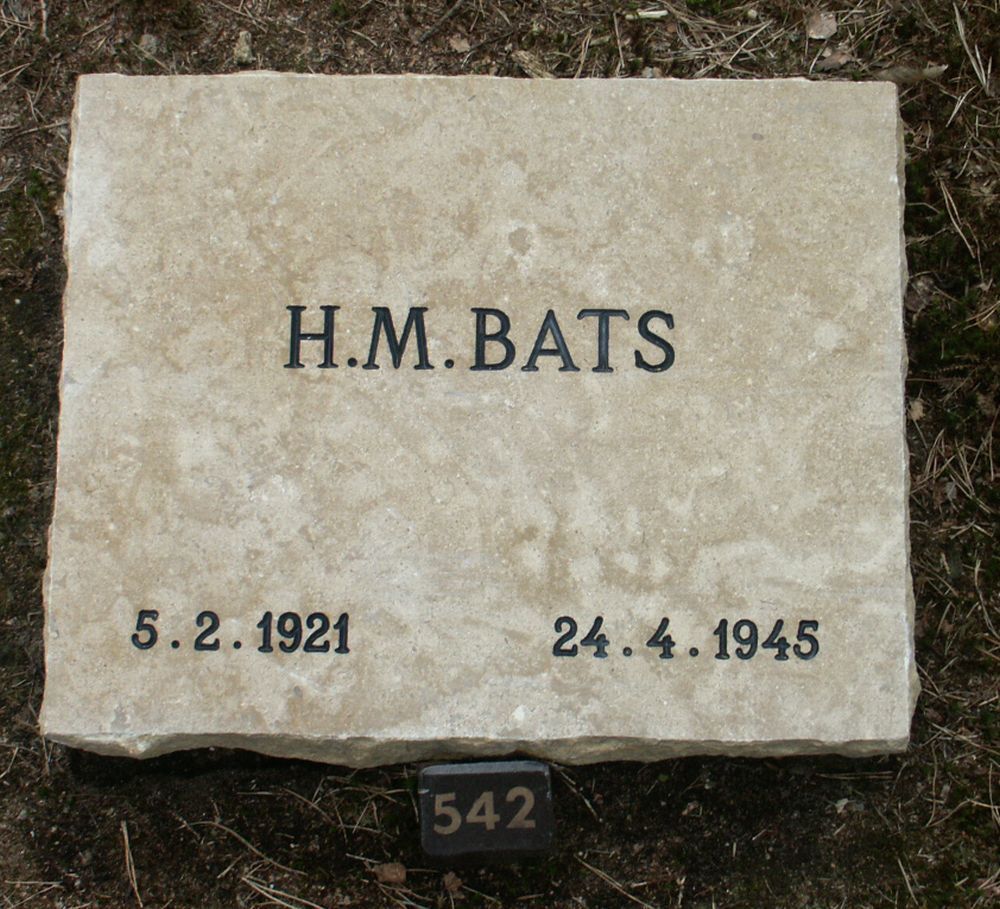 bats.h.m.2006.jpg