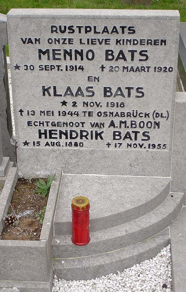 bats.k.2008.jpg