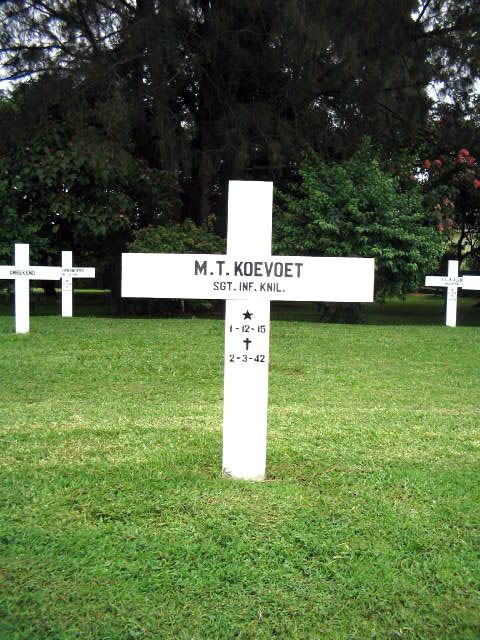koevoet.m.t.2005.jpg