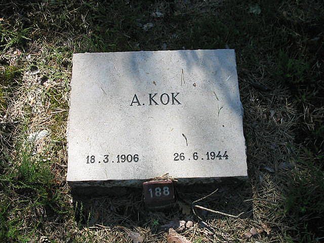 A.Kok.jpg