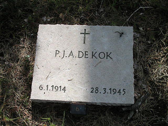 P.J.A.d.Kok.jpg