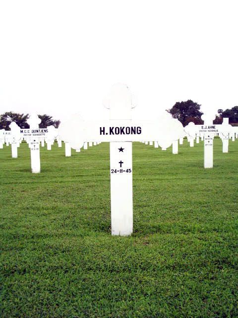 kokong.h.2005(1).jpg
