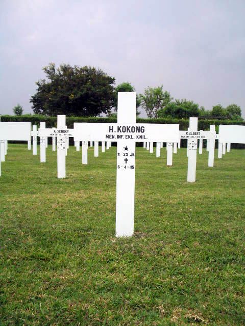 kokong.h.2005.jpg
