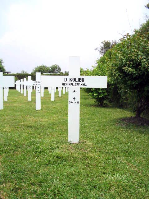 kolibu.d.2005.jpg