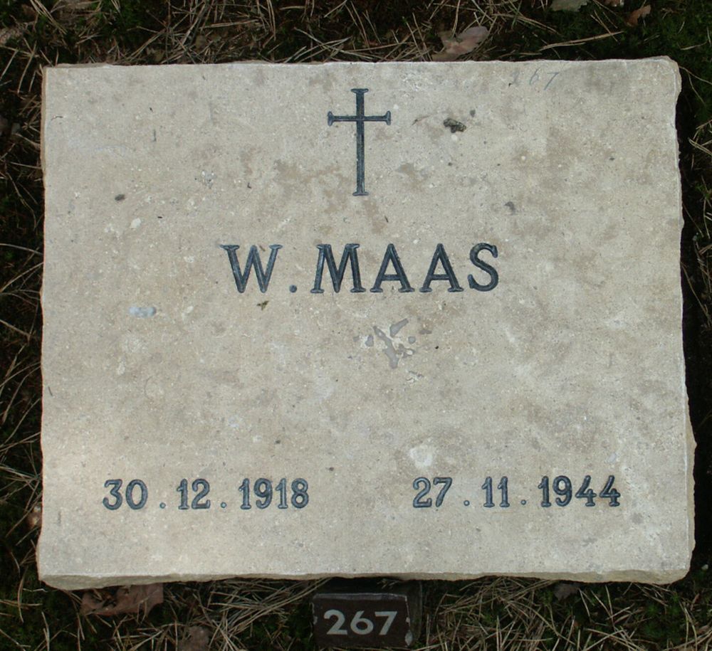 maas.w.2006.jpg