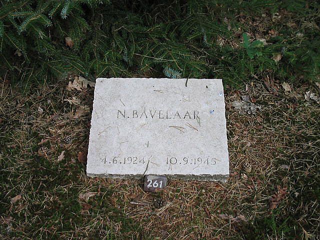 N.Bavelaar.jpg