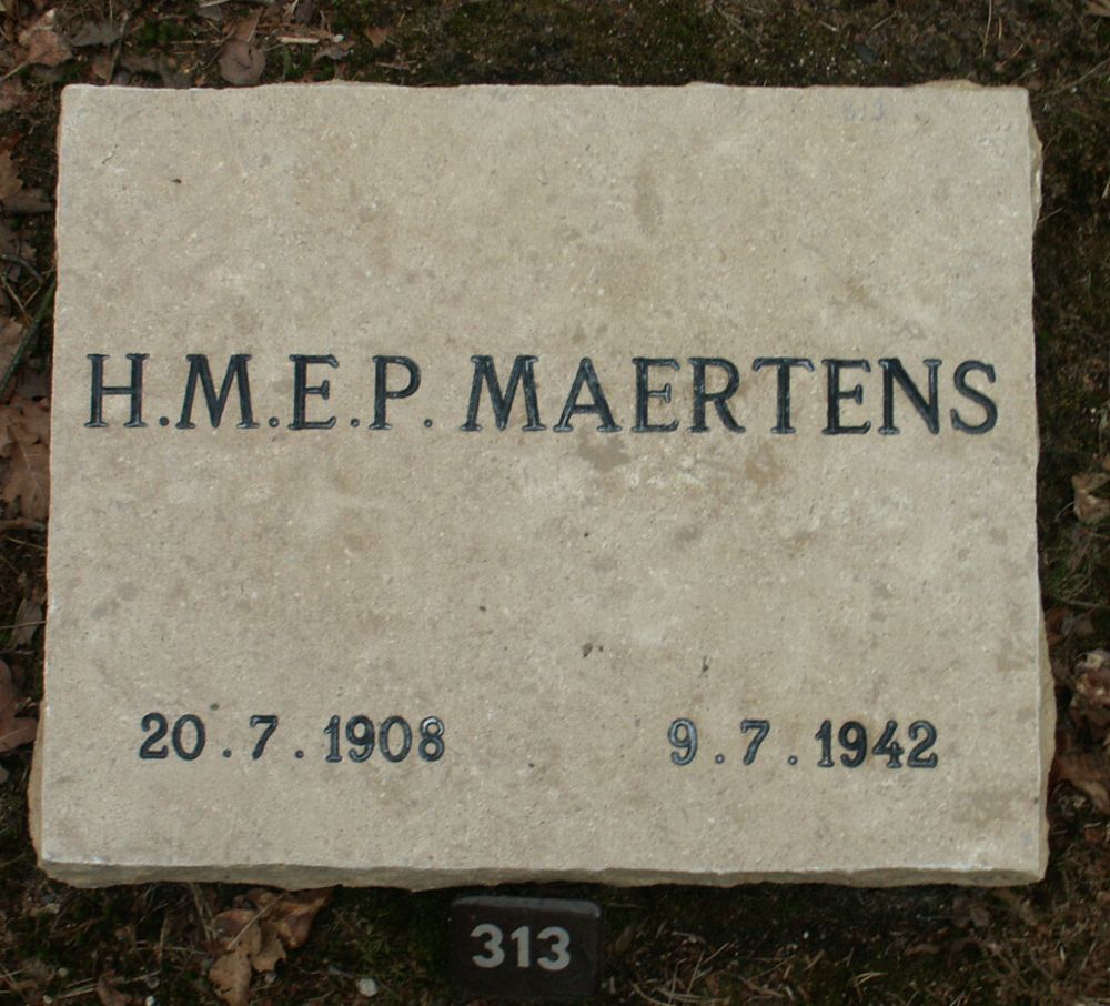 maertens.h.m.e.p.2006.jpg