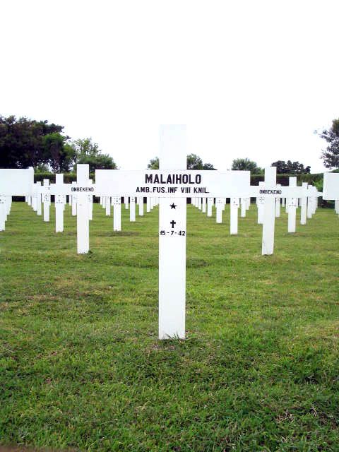 malaiholo.2005.jpg