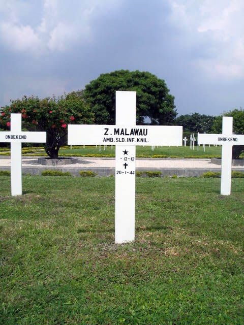 malawau.z.2005.jpg