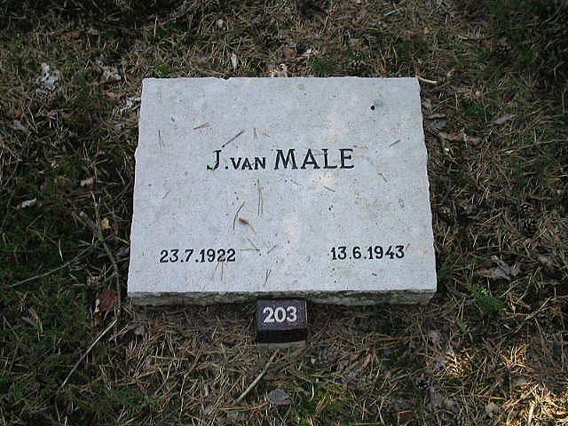 J.v.Male.jpg