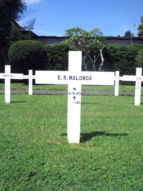 malonda.e.r.2005.jpg