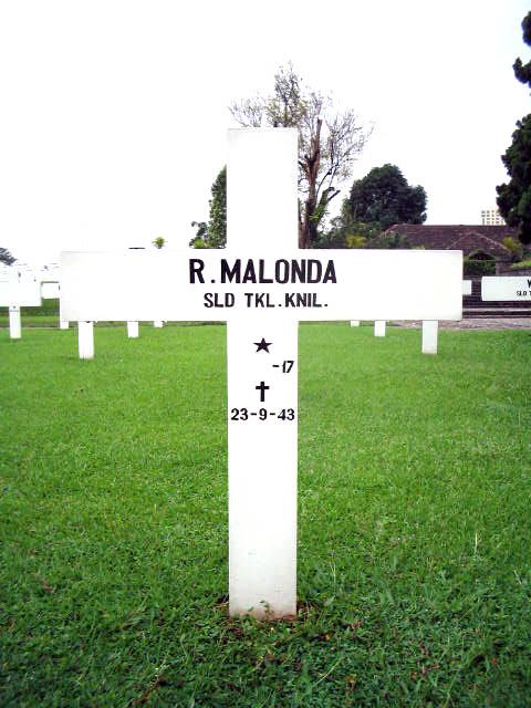 malonda.r.2005.jpg