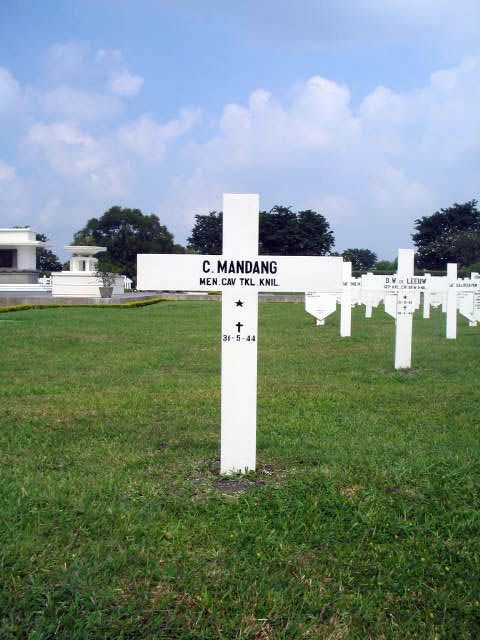 mandang.c.2005.jpg