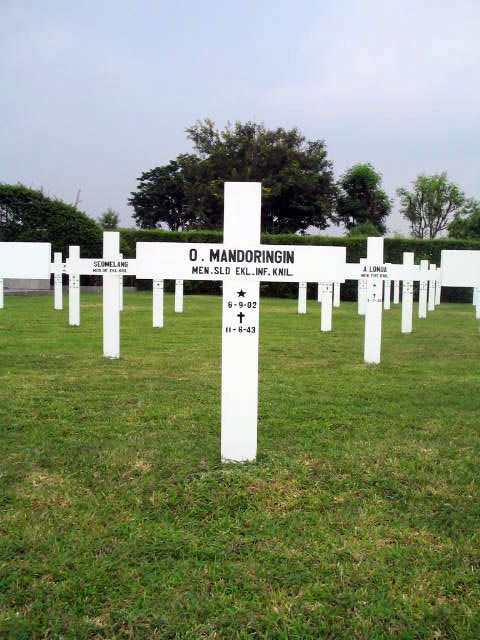 mandoringin.o.2005.jpg