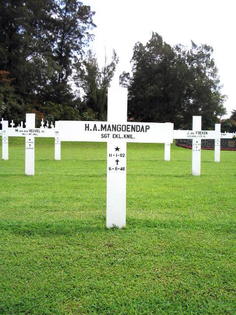mangoendap.h.a.2005.jpg