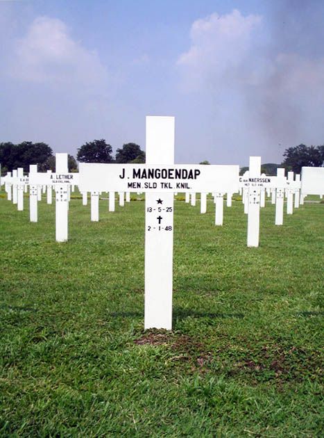 mangoendap.j.2005.jpg