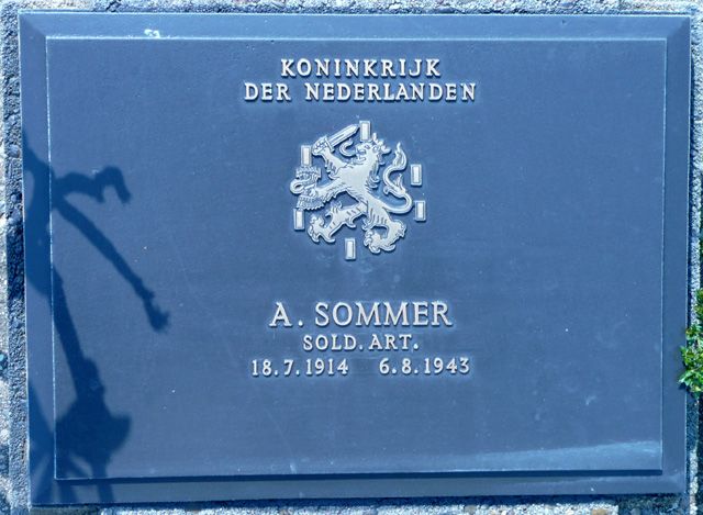 Sommer.A.2008.jpg