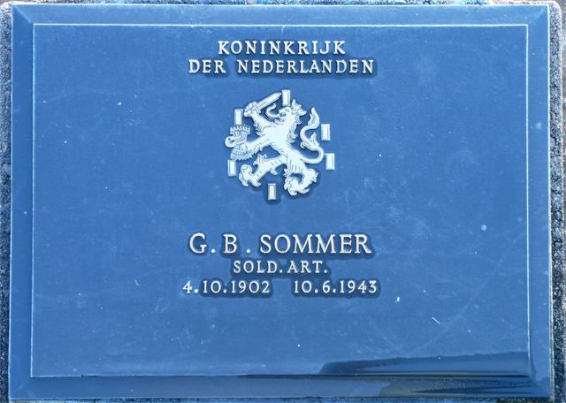 Sommer.G.B.2008.jpg