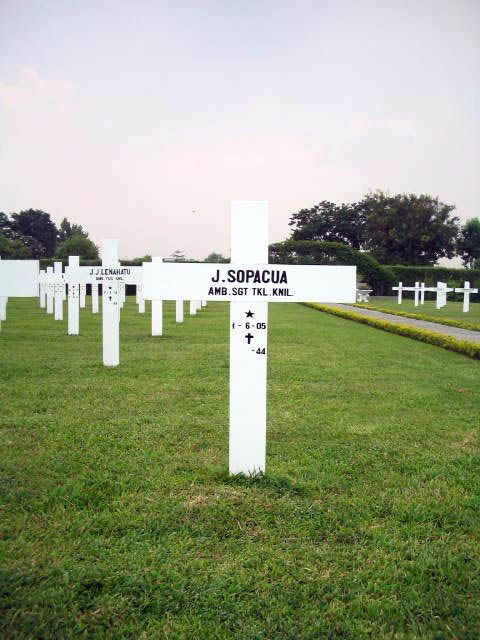sopacua.j.2005.jpg