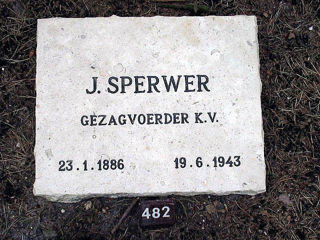 sperwer.j.2005.jpg
