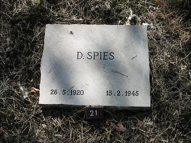 146040.JPG