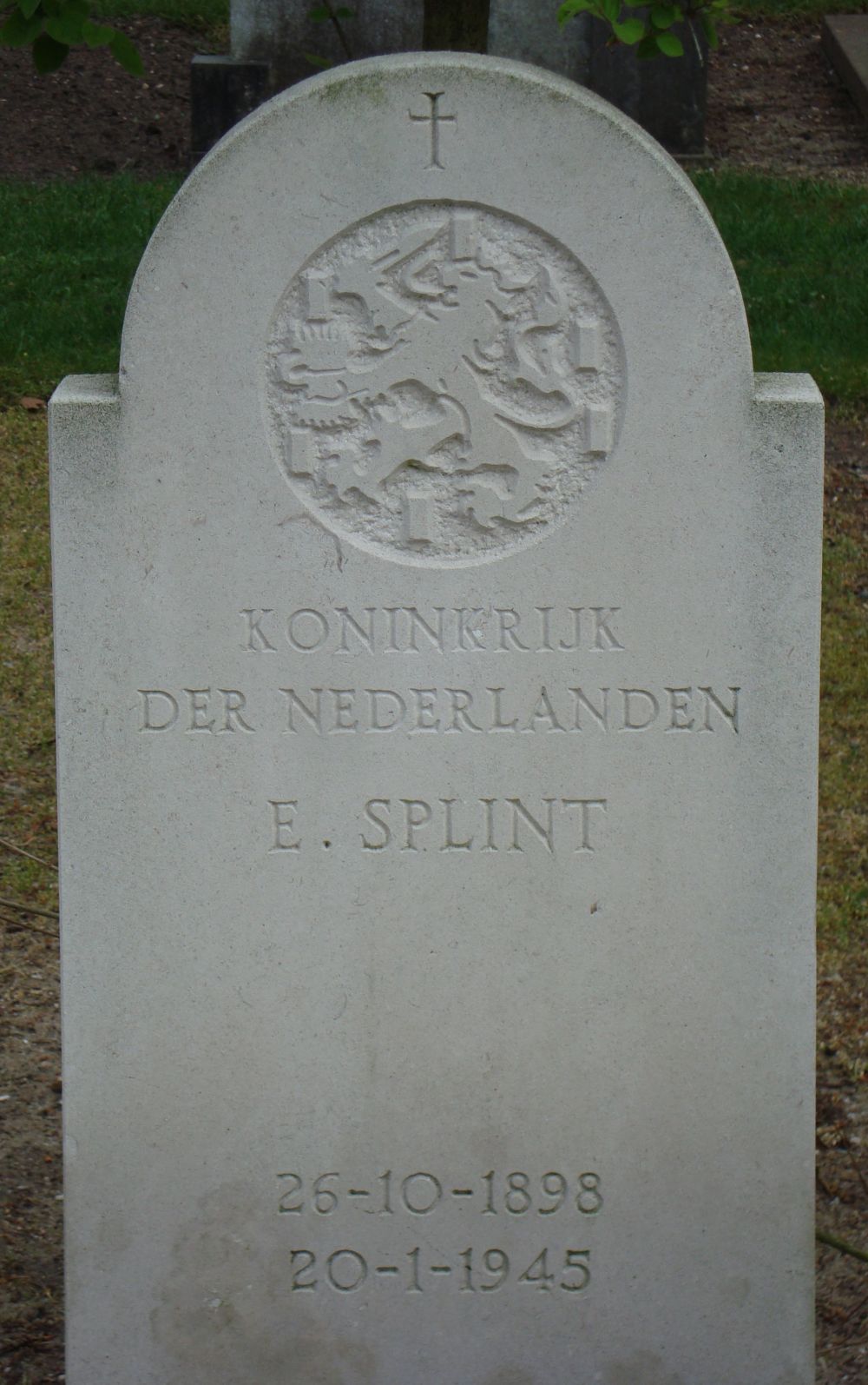 splint.e..jpg