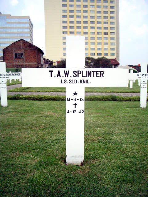 splinter.t.a.w.2005.jpg