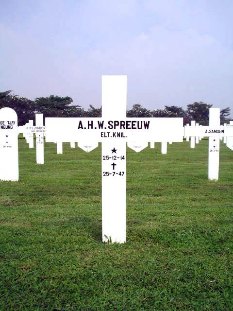 spreeuw.a.h.w.2005.jpg