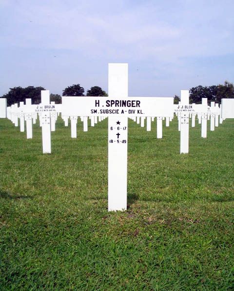 springer.h.2005.jpg