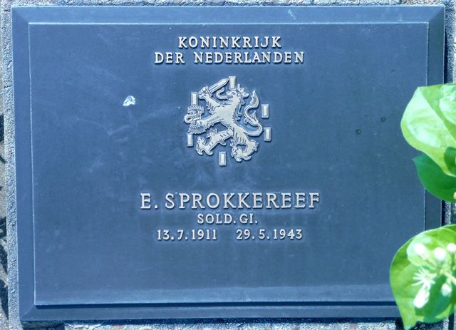 Sprokkereef.E.2008.jpg