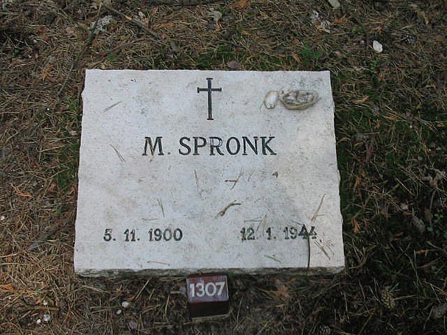 M.Spronk.jpg