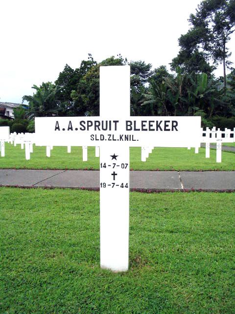 spruit.bleeker.a.a.2005.jpg