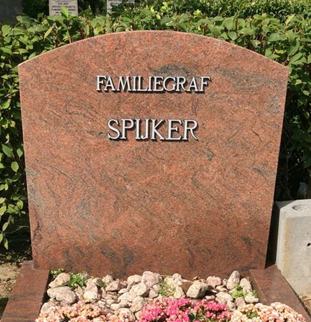 spijker.JPG
