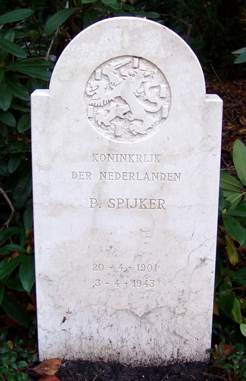 Spijker P.jpg