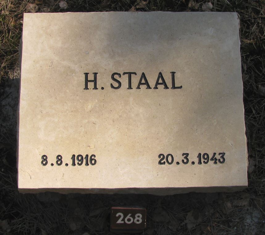Staal.JPG