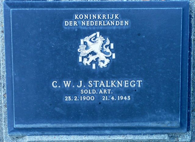 Stalknegt.C.W.J.2008.jpg