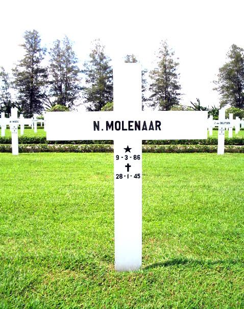 molenaar n.jpg