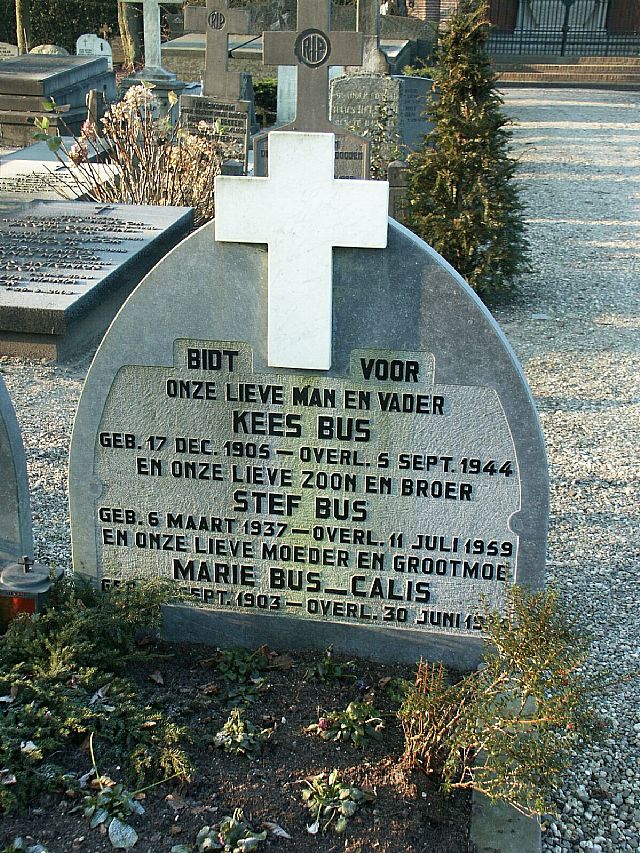Bus.jpg