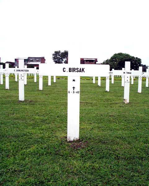 birsak.c.2005.jpg