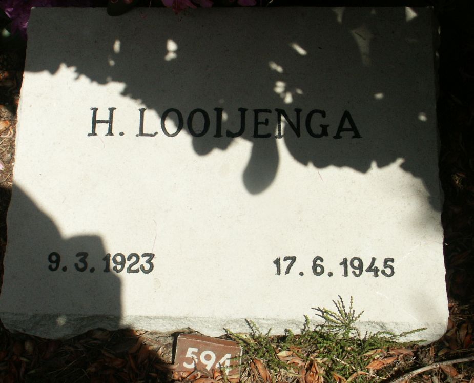 looijenga.h.jpg